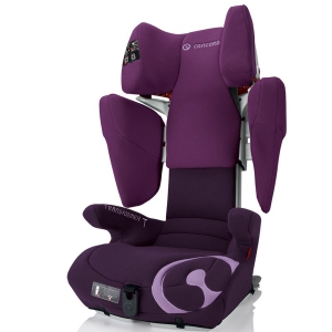 transformert_plumpurple_850.jpg